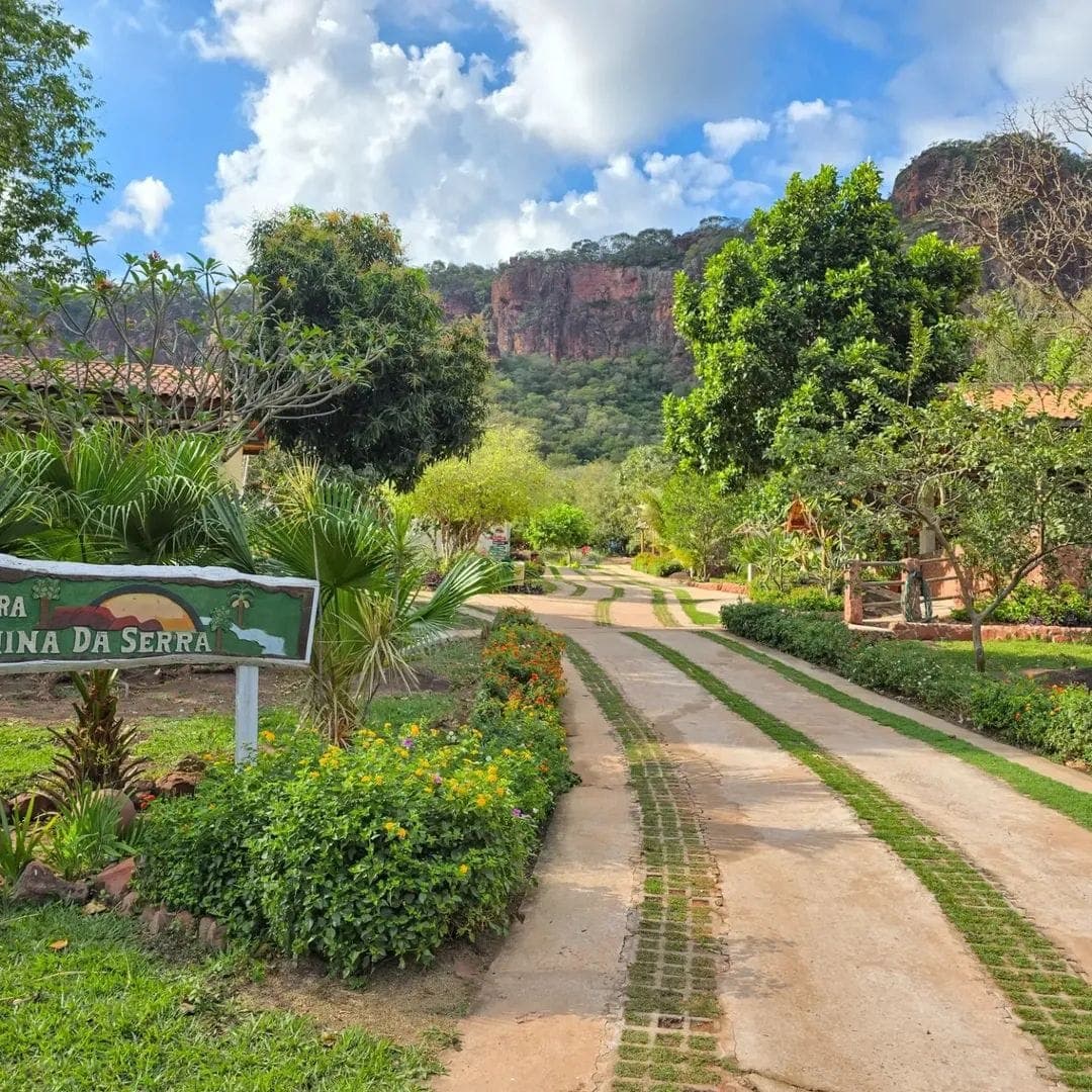 Access road to the pousada through the hillside vegetation.